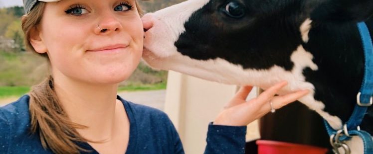 A girl getting kissed by a calf