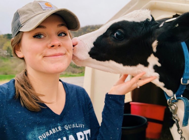 A girl getting kissed by a calf