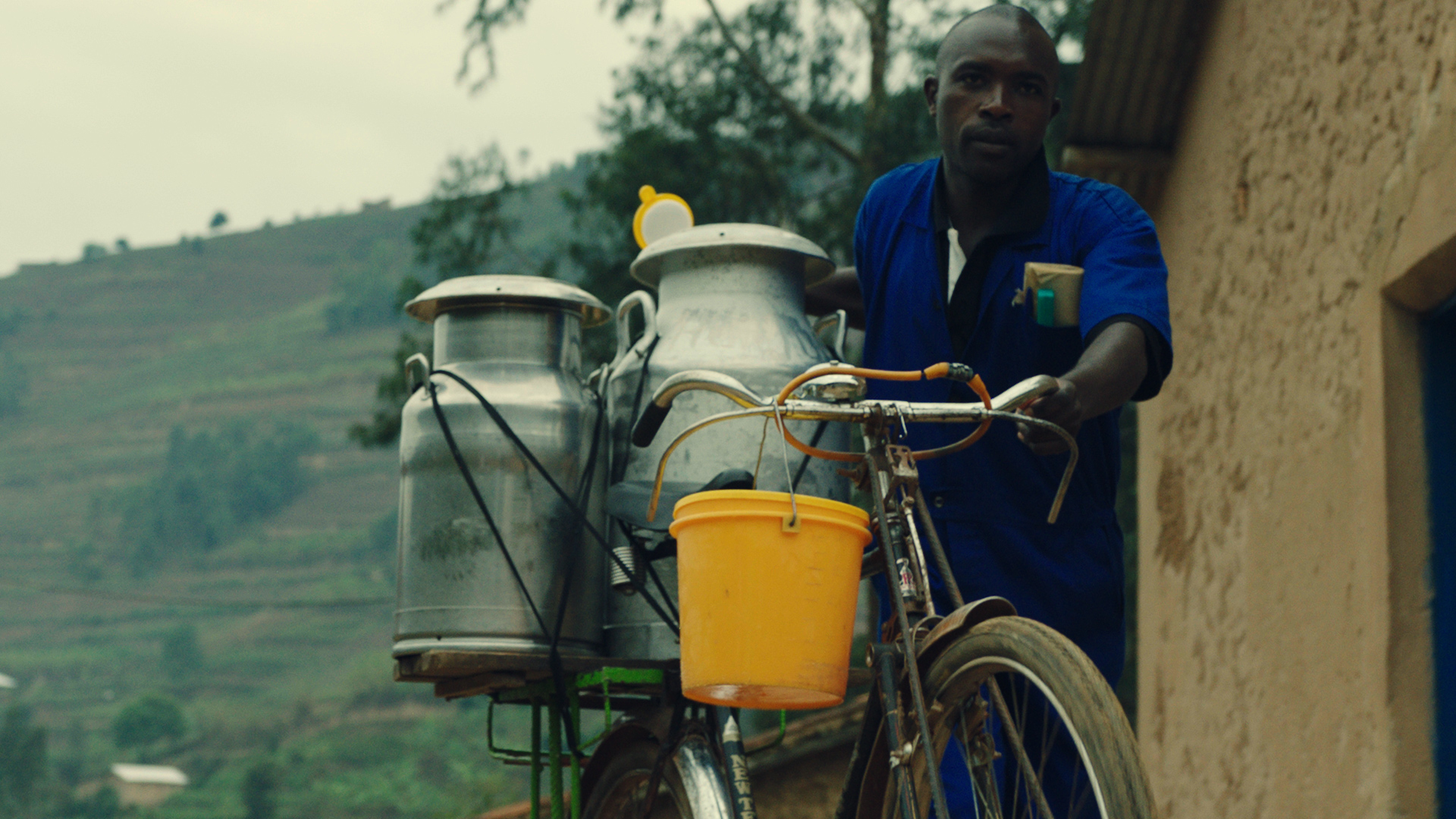 A man pushes a bicycle with milk canisters