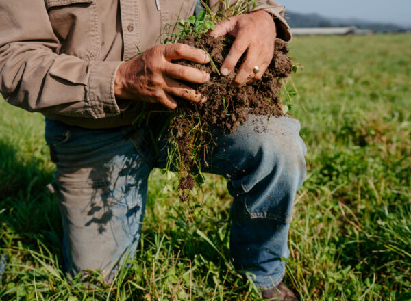 Blake-Alexandre-kneeling-in-green-field-holding-soil-in-his-hands