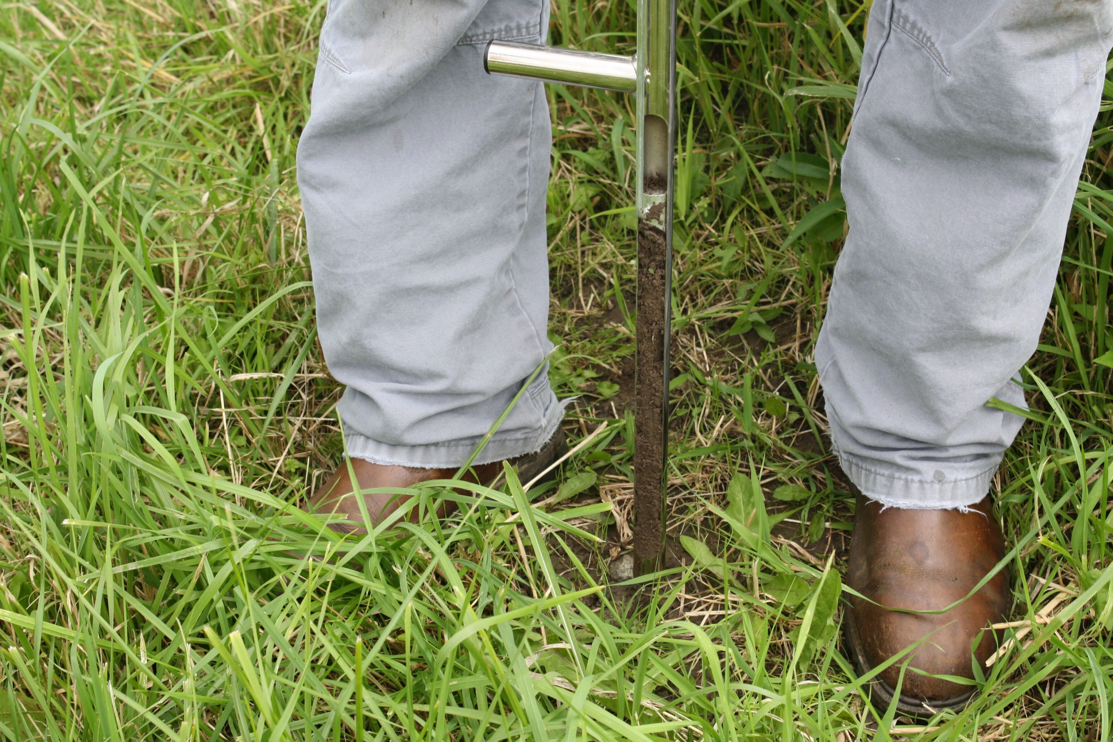 Collecting soil samples for the inaugural Carbon Cup