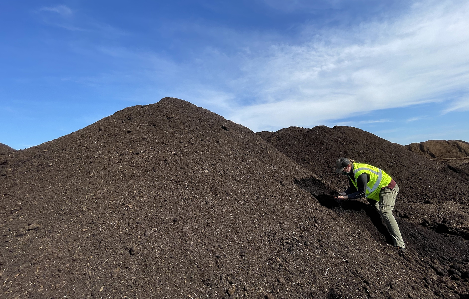 A large pile of compost against a bright blue sky and a man in a yellow jacket