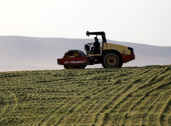 A red tractor tamps down corn silage with faded mountains in the distance