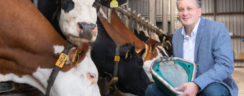 Man in a blue jacket poses with cows in a barn