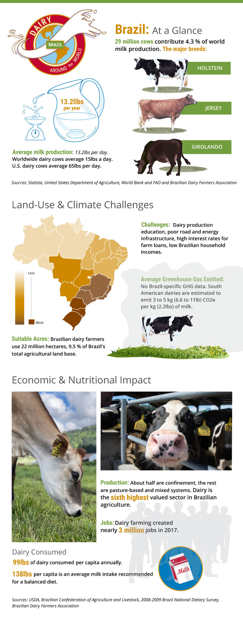 A full length infographic providing an overview of Brazil's dairy sector