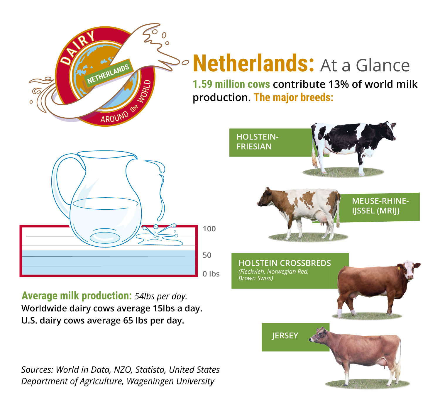 Infographic shows an overview of dairy sector in The Netherlands