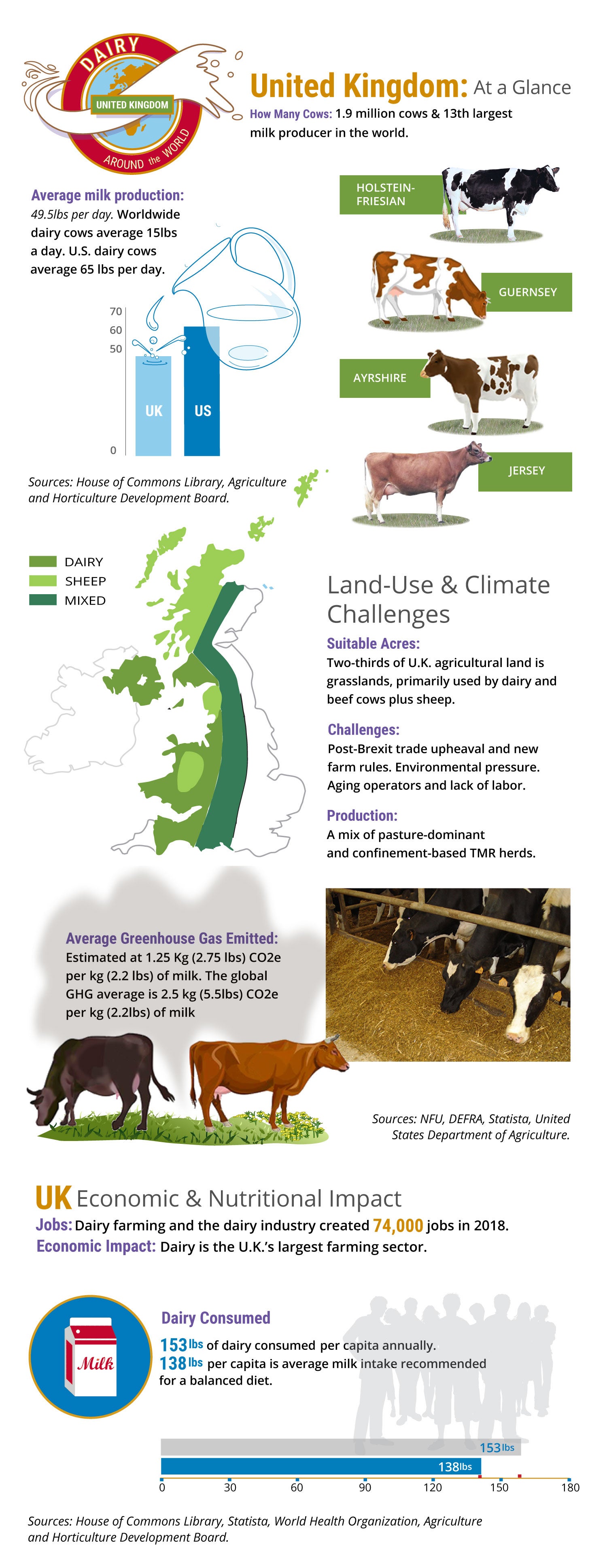 Dairy Around the World Long Infographic