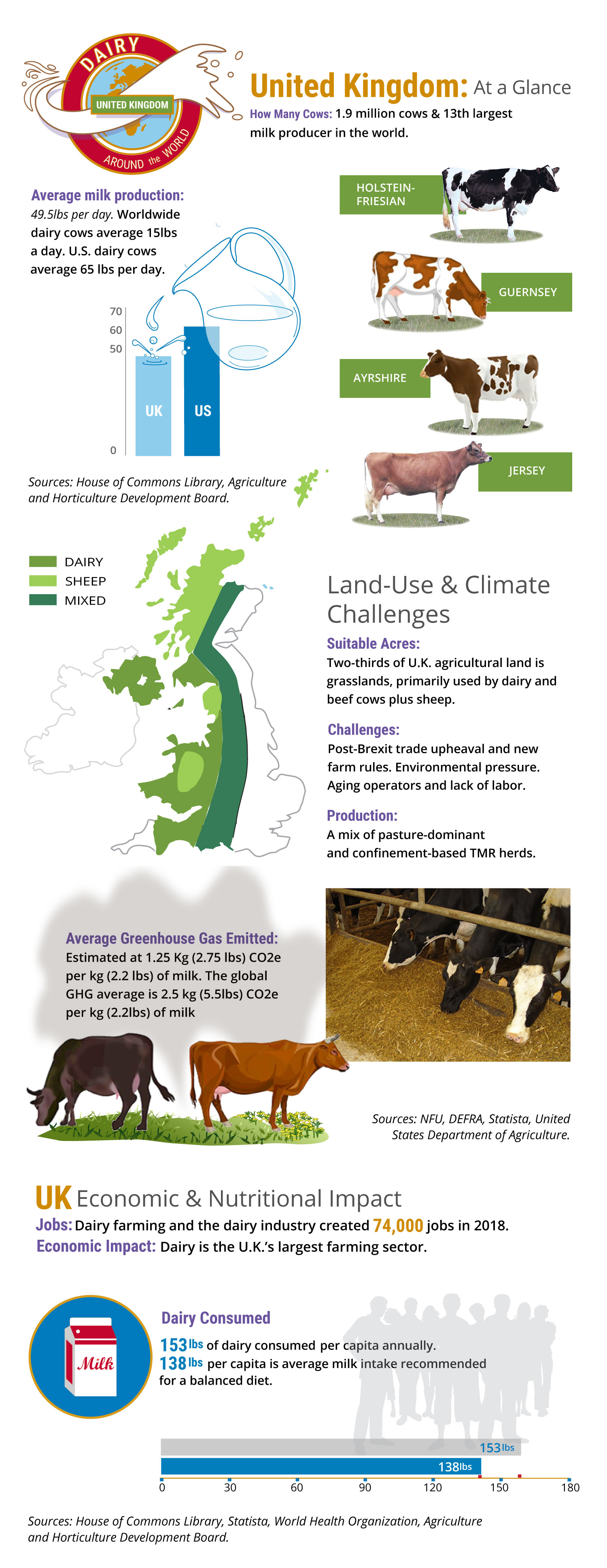 Dairy Around the World Long Infographic