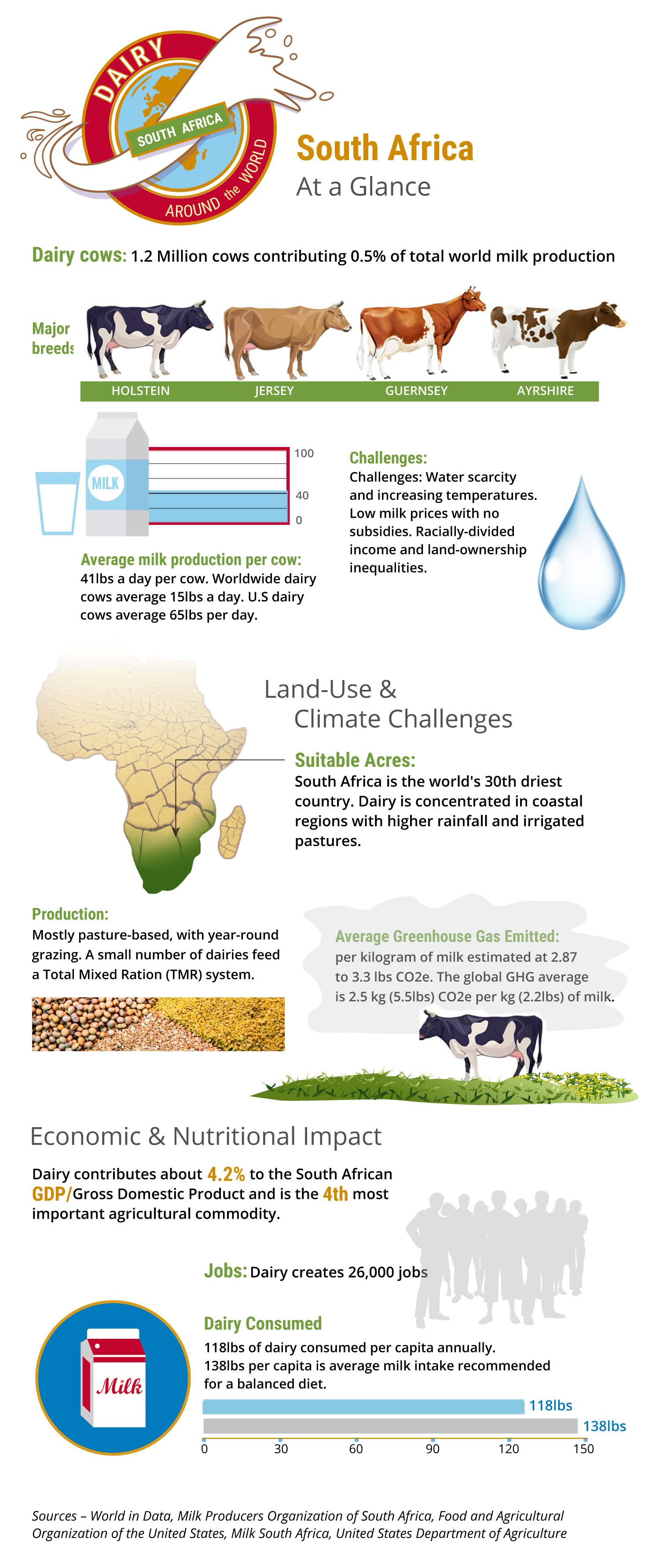 Large Daily Churn Infographic of Dairy's Impact in South Africa