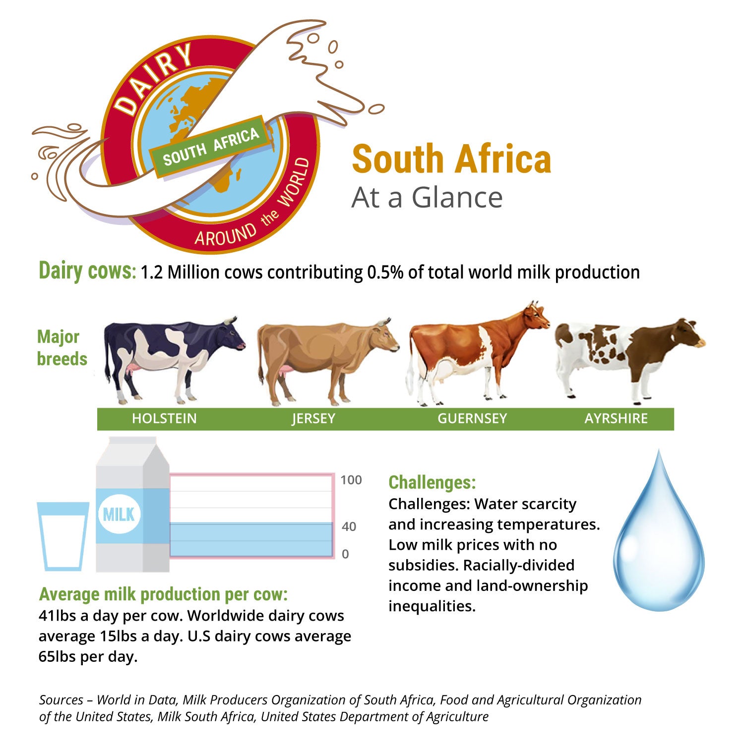 An infographic of south africa's dairy sector with four cow breeds
