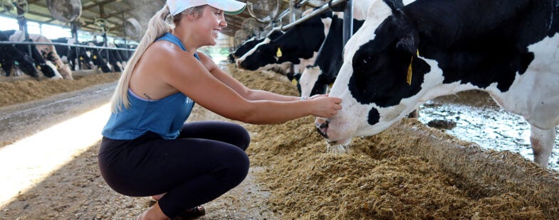 Side view of a woman in exercise clothes and sandals inside a Holstein cow barn