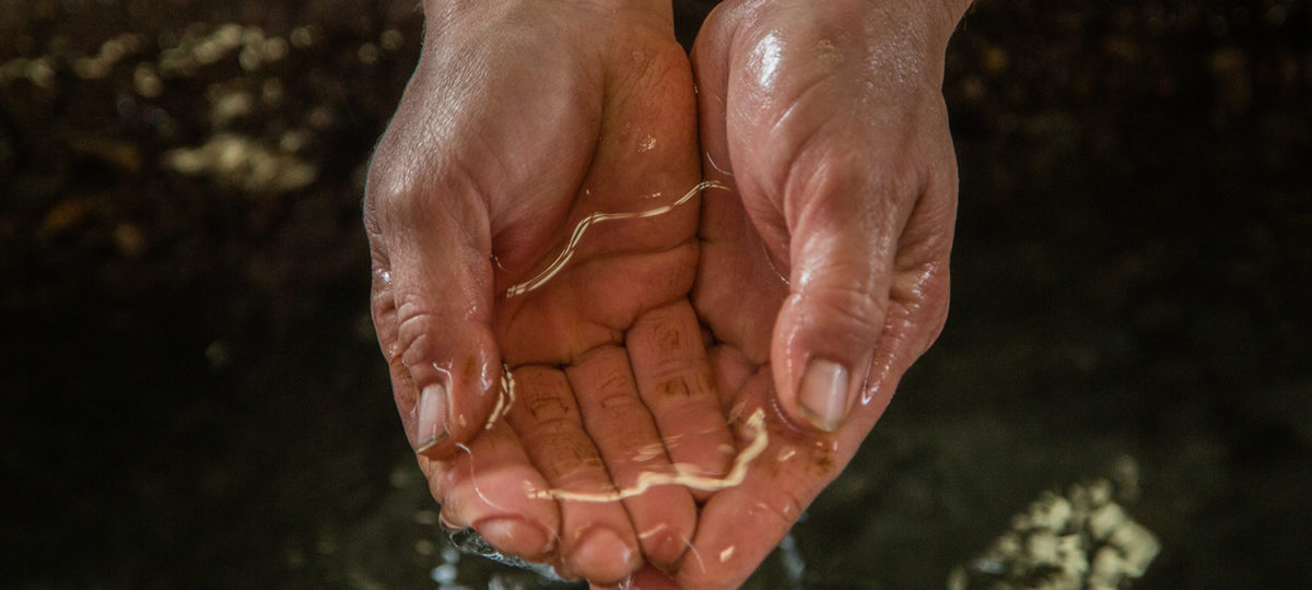 Woman cupping water in her hands