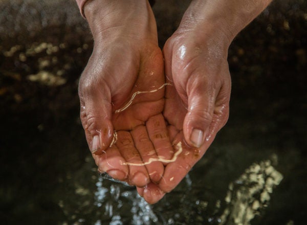 Woman cupping water in her hands