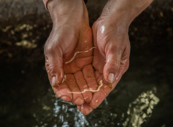 Woman cupping water in her hands