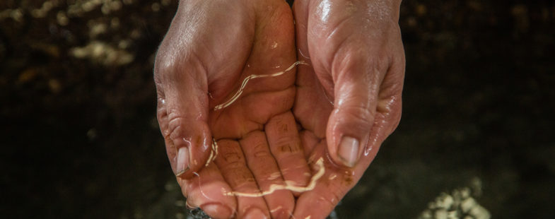 Woman cupping water in her hands