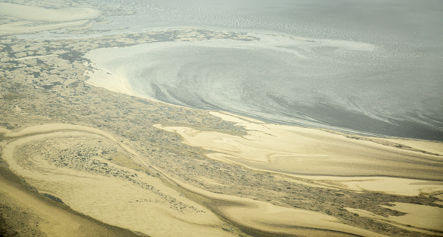 Manure water in a lagoon