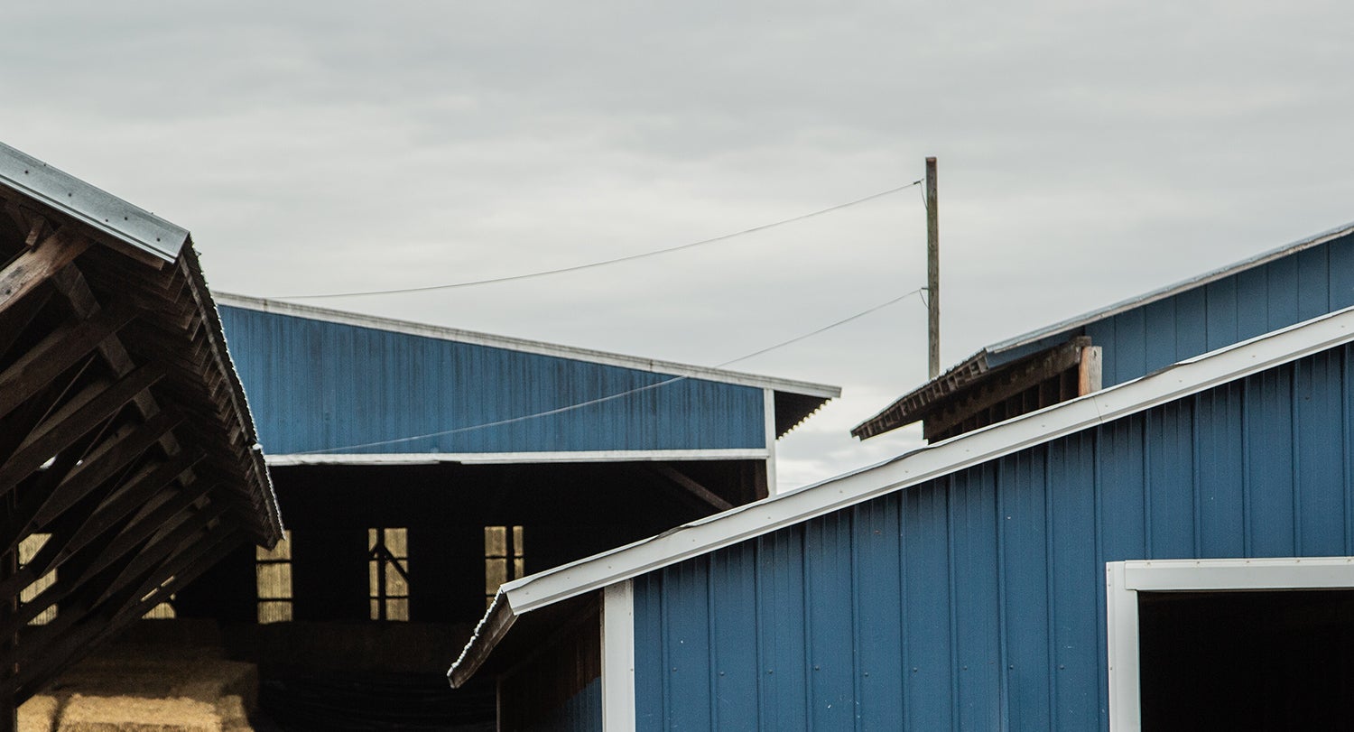 Detail of blue barn roofs