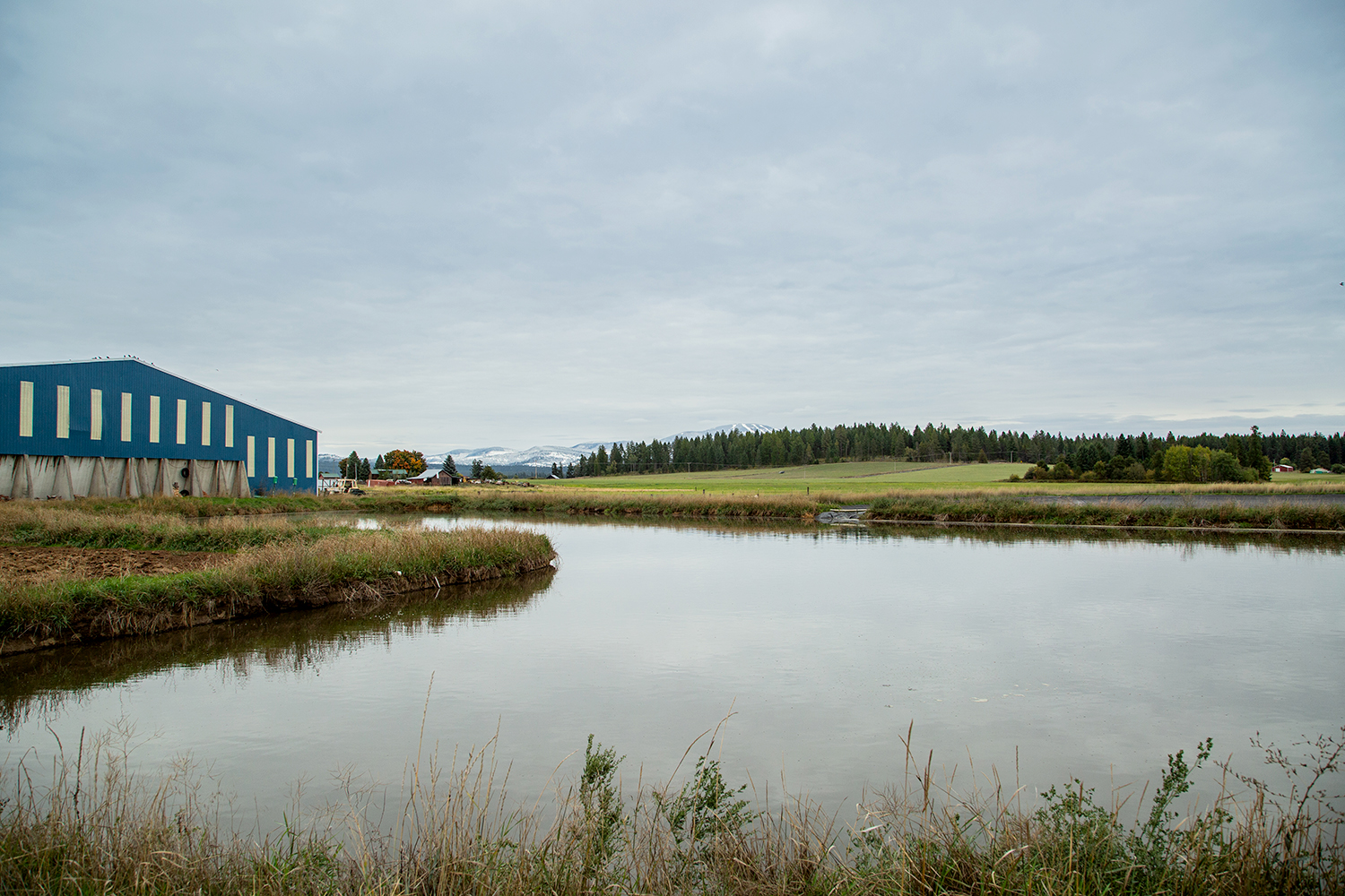 Water lagoon and barn on an overcast day