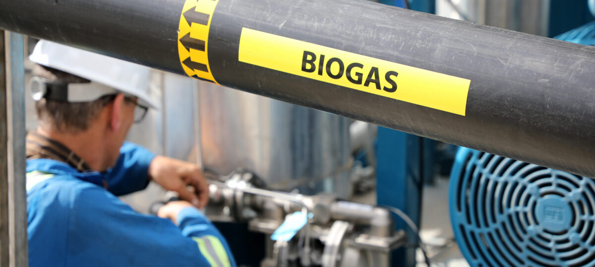 A man in a safety helmet and blue overalls working on an industrial biogas project