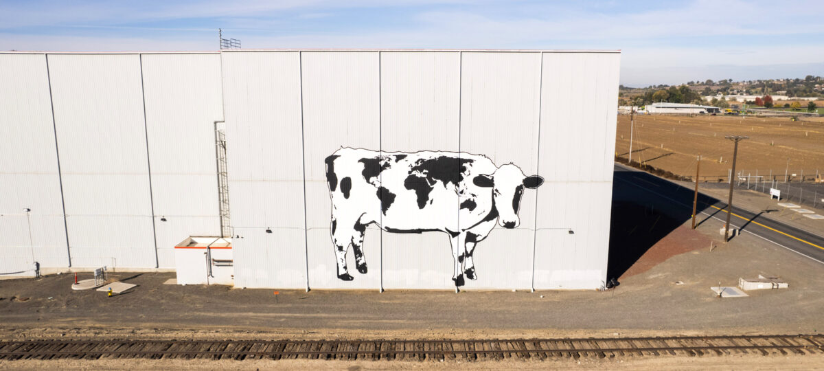 An enormous mural of a holstein cow with its spots arranged as a world map