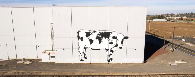 An enormous mural of a holstein cow with its spots arranged as a world map