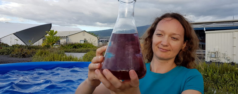 Women holding a giant flask of red macro algae