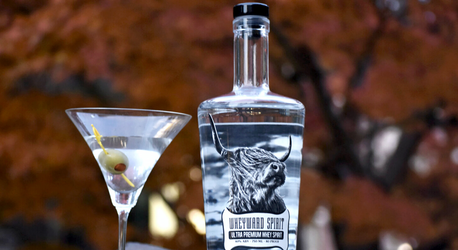 A martini with an olive next to a bottle of clear liquor against a brown backdrop