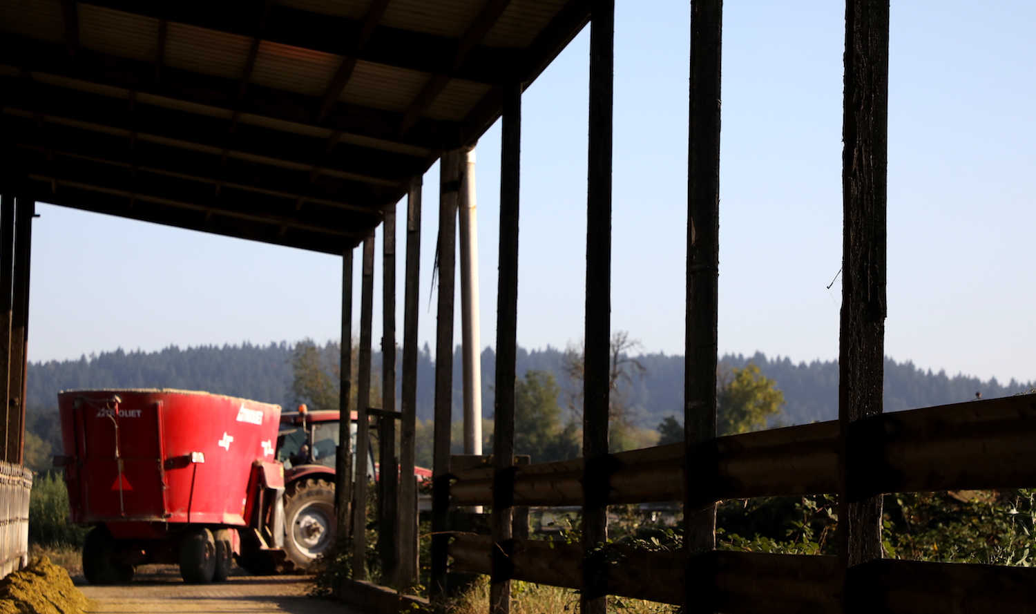 A bright red feed truck drives through a barn