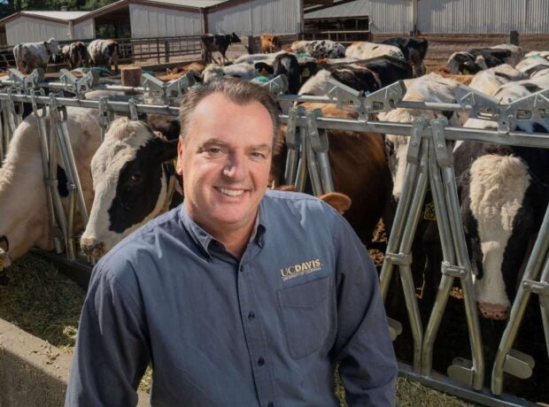 Man with cows behind him smiles for the camera