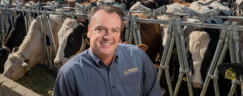 Man with cows behind him smiles for the camera