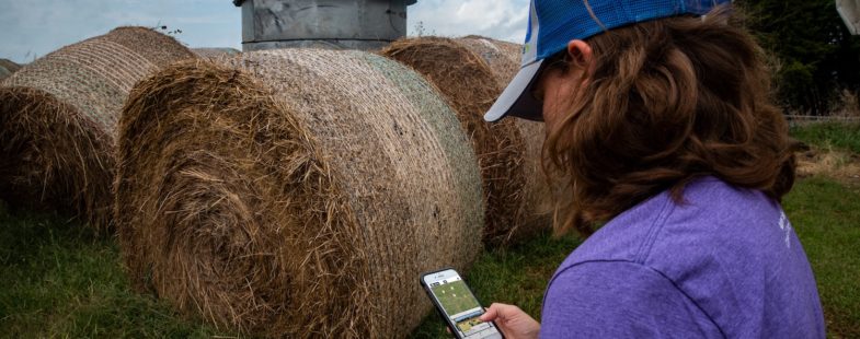 Women using app with hay in the background