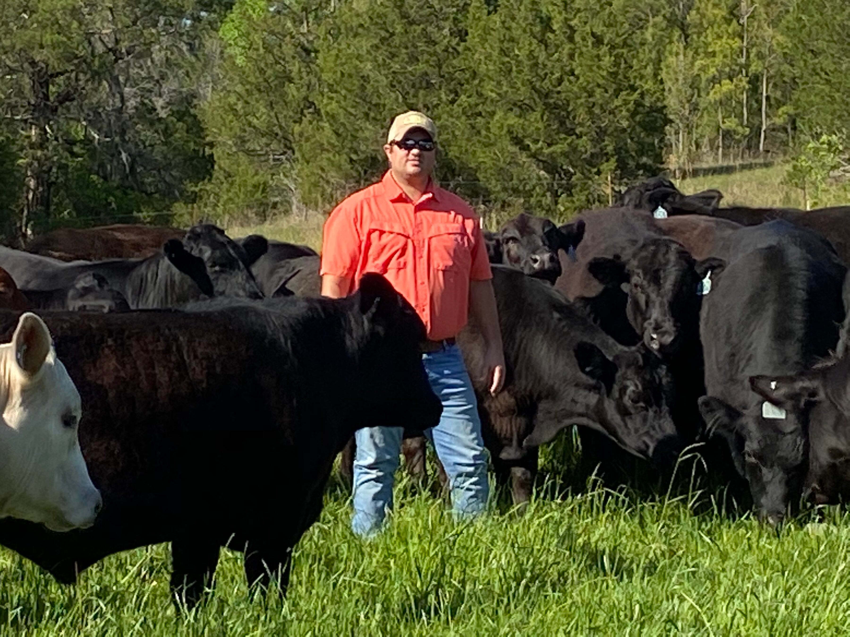Man in orange shirt and cap poses with beef cattle