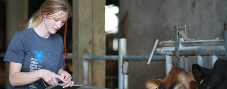 A woman holding a clipboard near cows