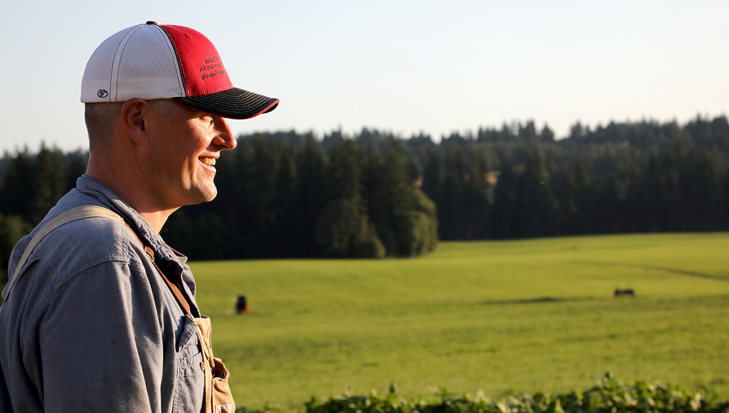 Portrait of a man in front of a field and trees