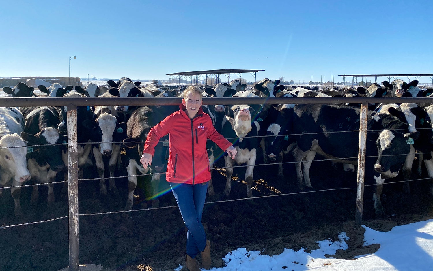 Women in red jacket poses in front of a herd of cows