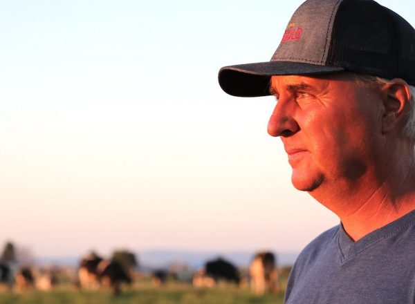 Portrait of an Oregon dairy farmer standing in front of pastured cows at sunset