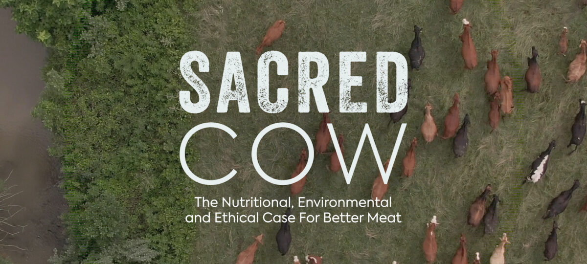 Aerial shot of cows on grass with white text