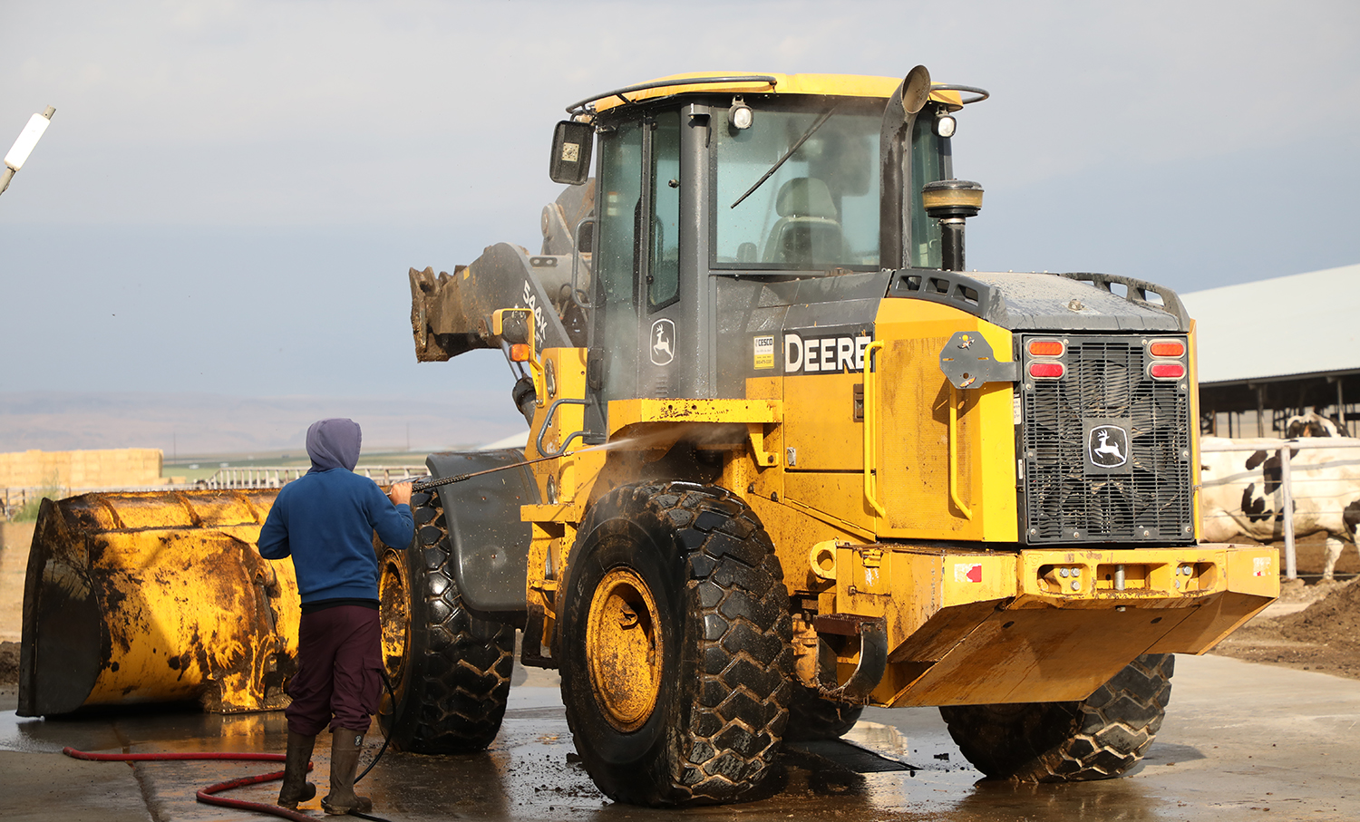 Man cleaning agricultural equipment