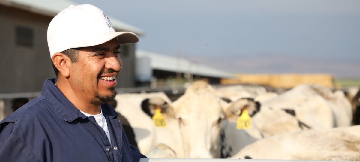 A man in a cap smiles in front of a herd of cows