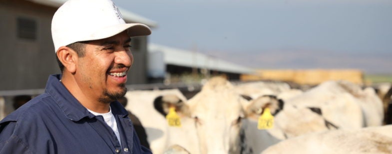 A man in a cap smiles in front of a herd of cows