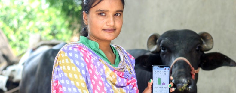 Indian dairy farmer in a sari holds a phone