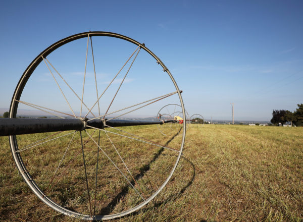 Irrigation pivot on a farm