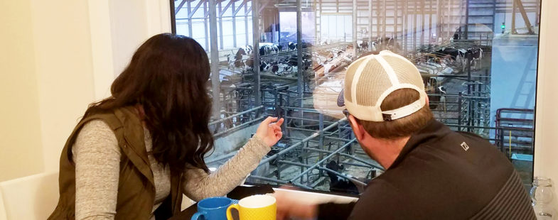 Man and woman drink coffee and watch cows