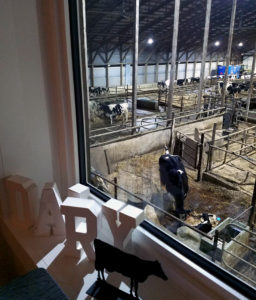 Window overlooking a dairy barn at night