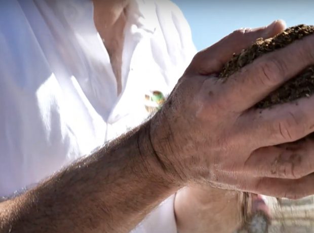 A man holds a pile of dry fertilizer in his hands