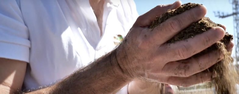 A man holds a pile of dry fertilizer in his hands