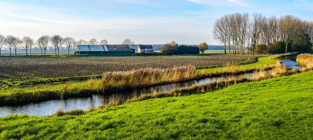 River landscape stock photo