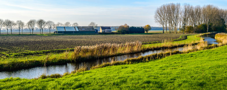 River landscape stock photo