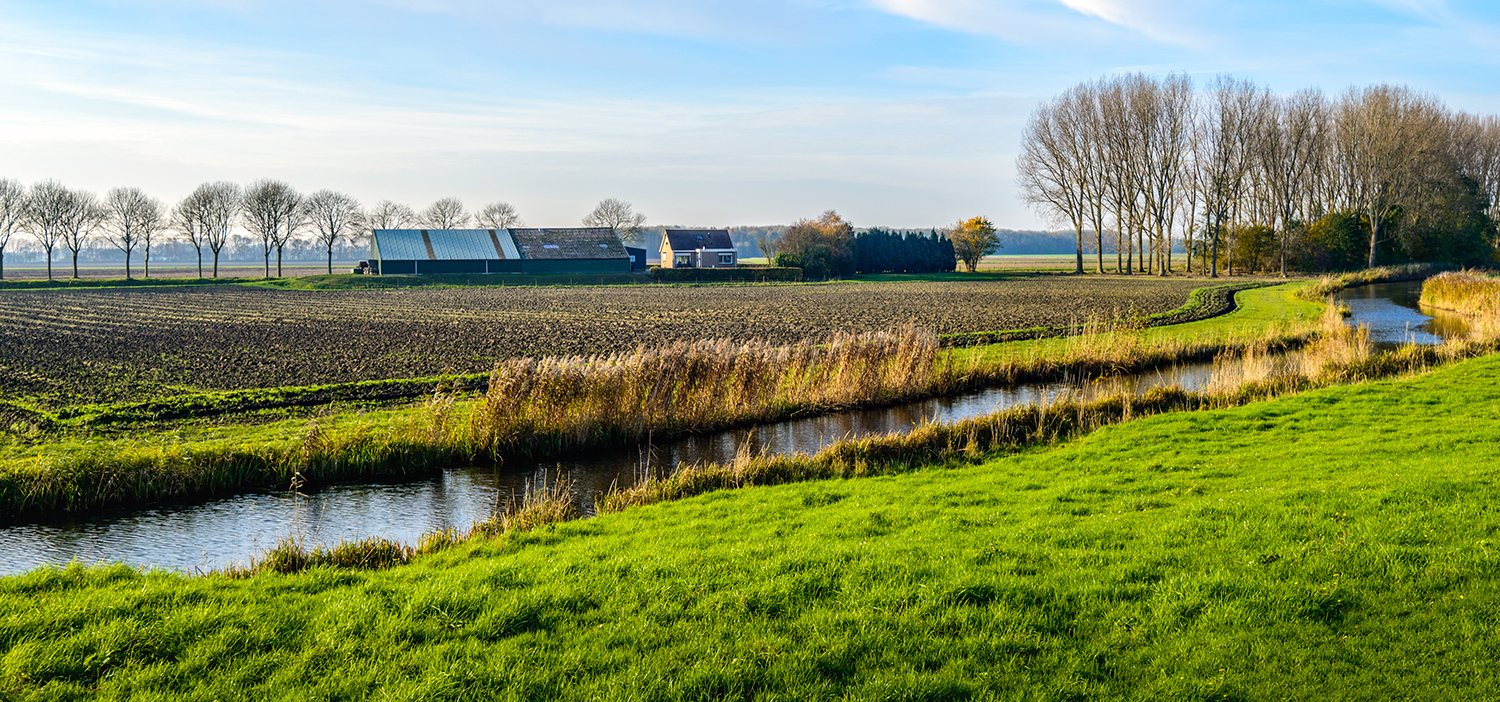 River landscape stock photo