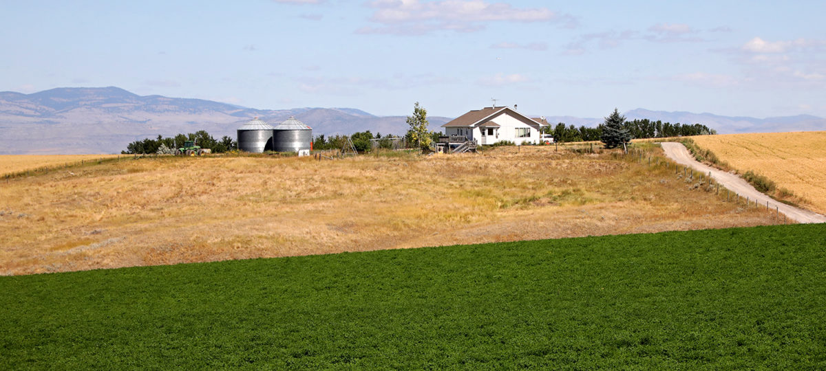 Farm house surrounded by agricultural land